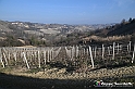 VBS_1098 - Santo Stefano Roero